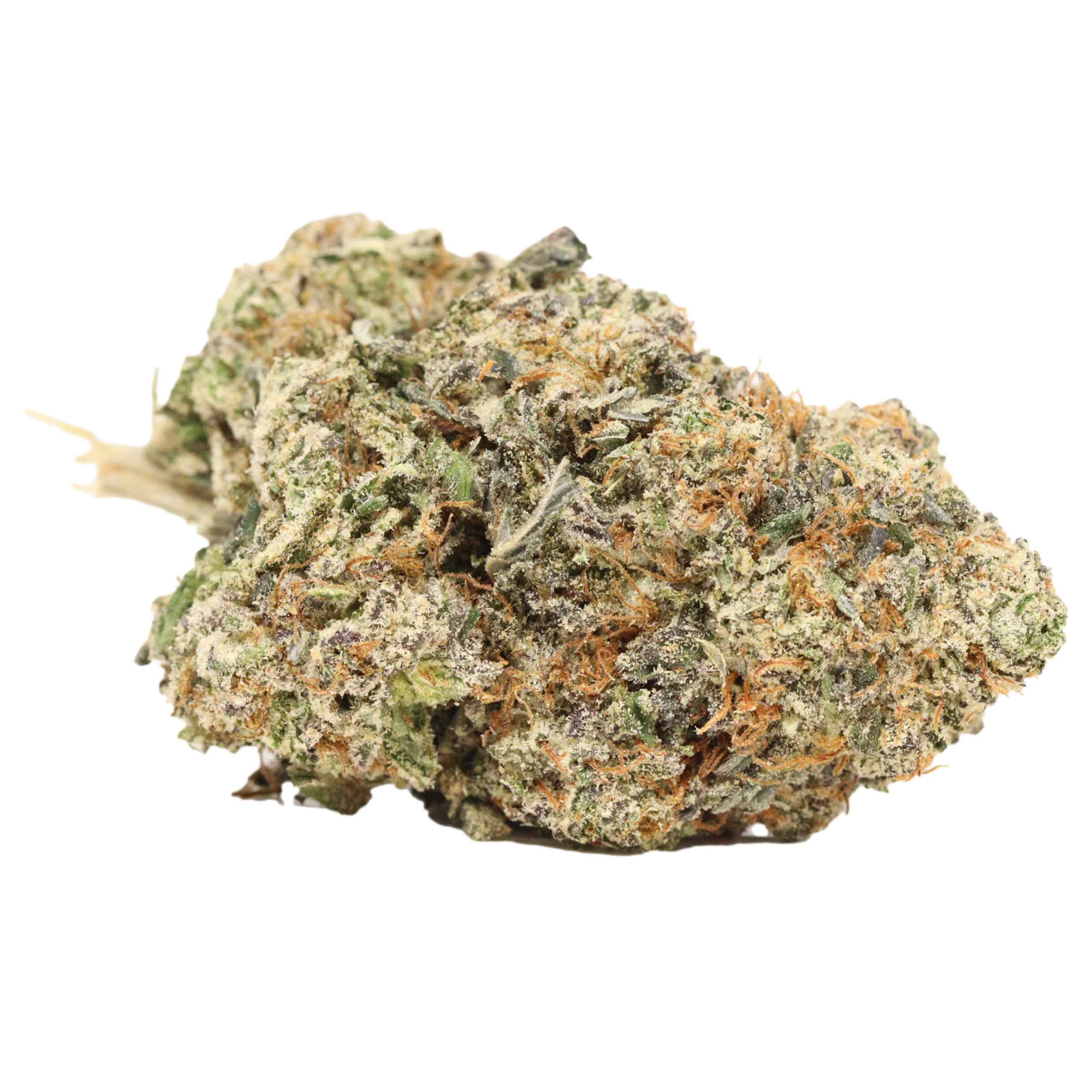 Four Star General - Image 2