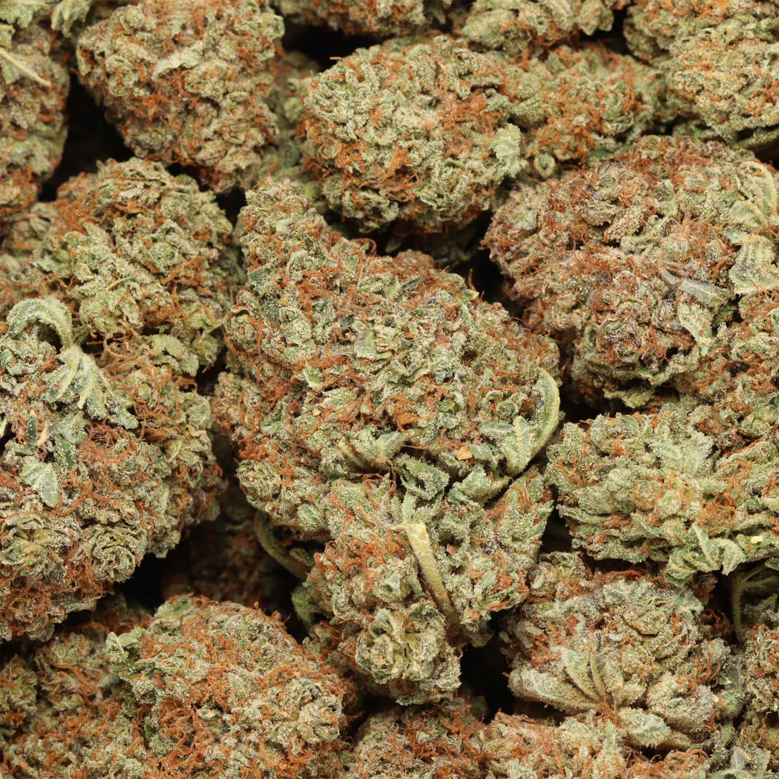 9 Pound Hammer - Image 2