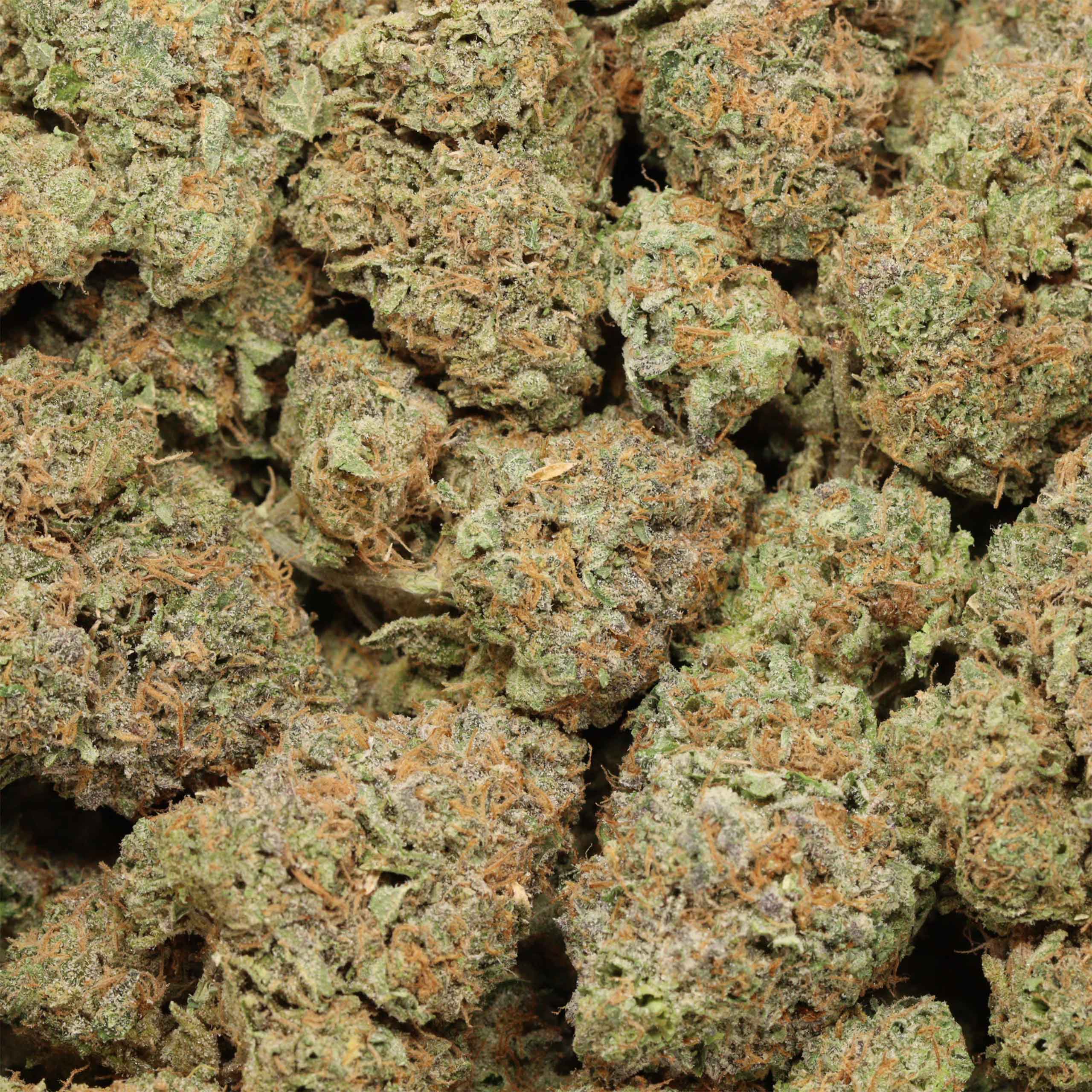 Afghani Kush - Image 2