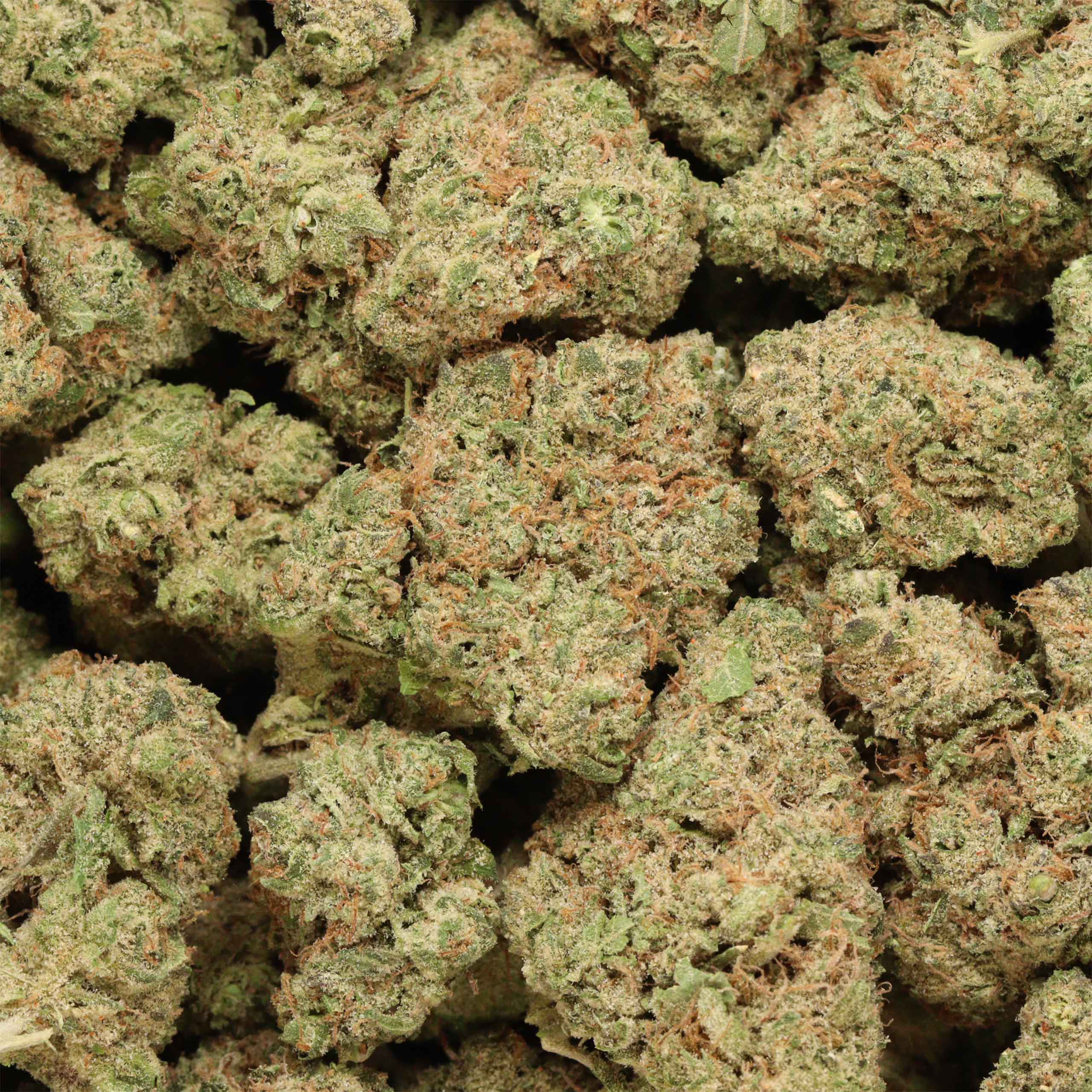 Apple Cheese Quake - Image 2