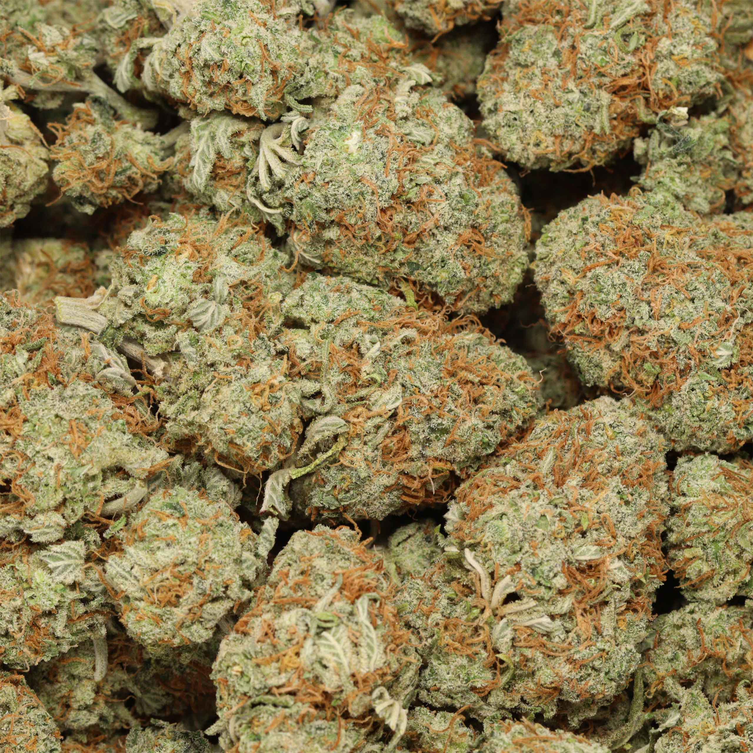 Casey Jones - Image 2