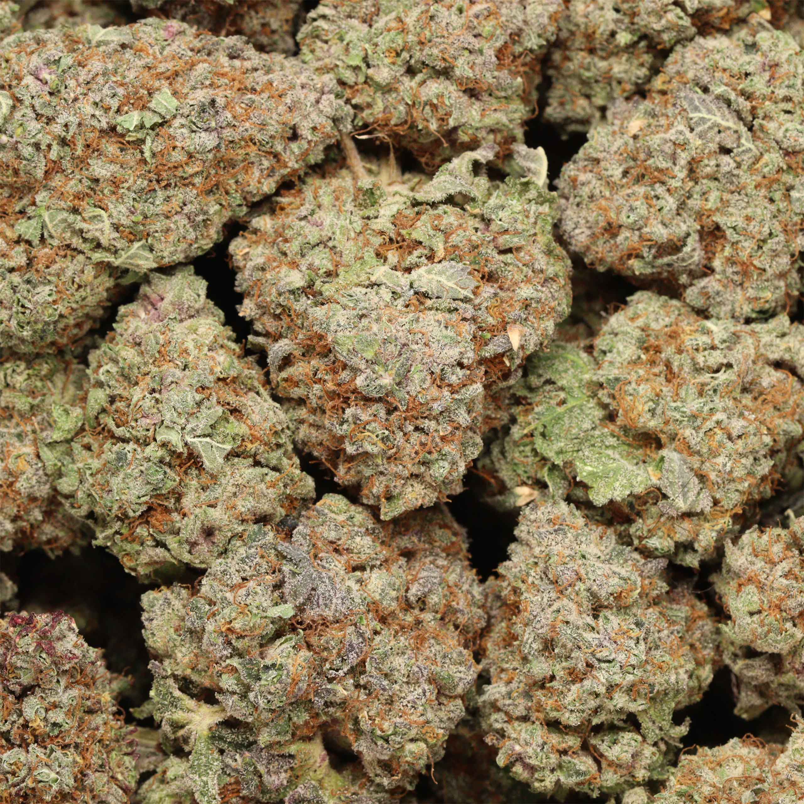 Cherry Diamond - Image 3