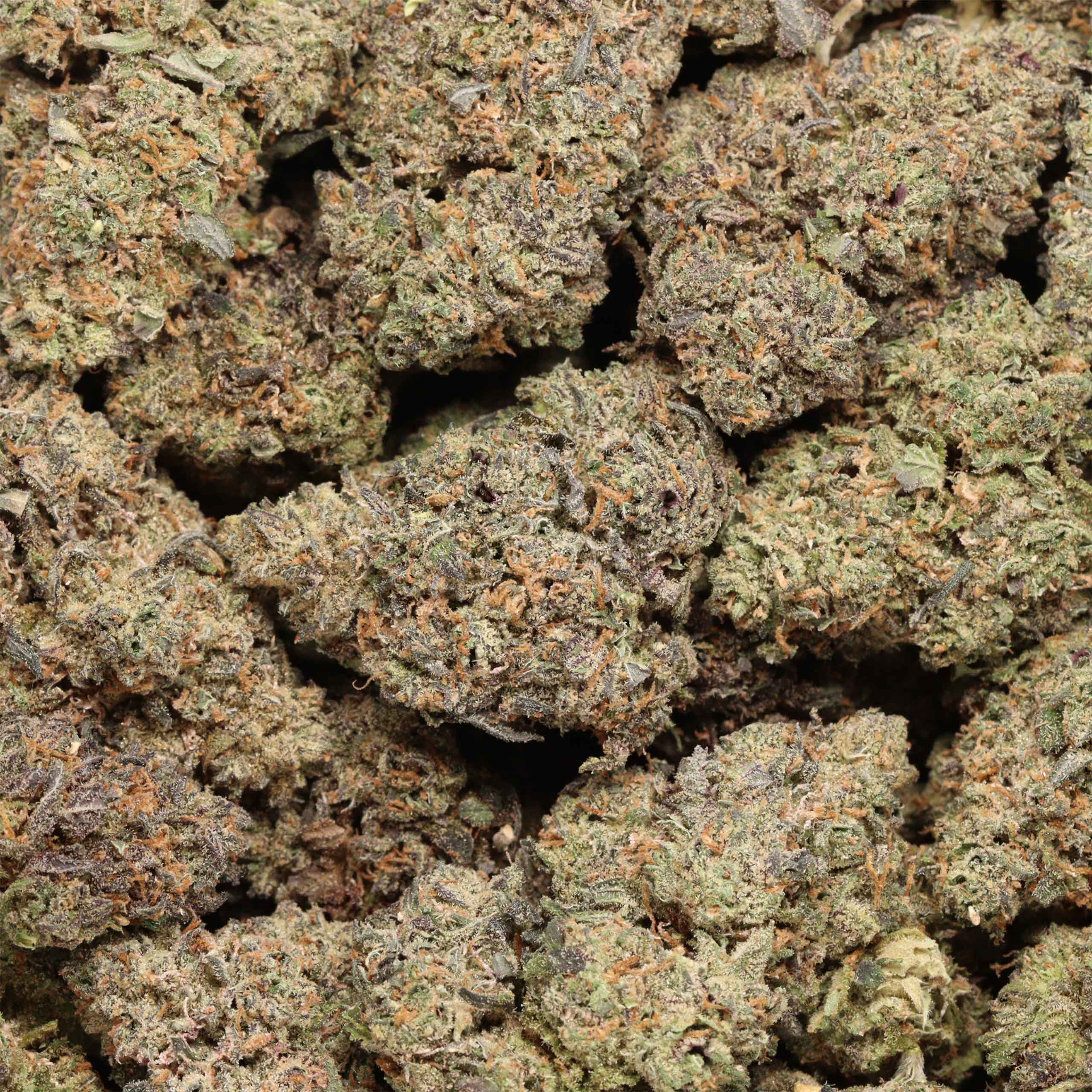 Hawaiian Runtz - Image 3