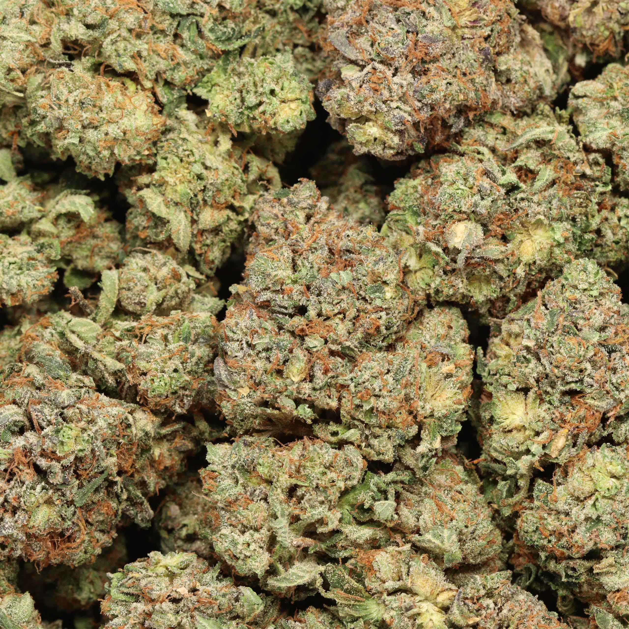 Hydro Death Bubba - Image 3