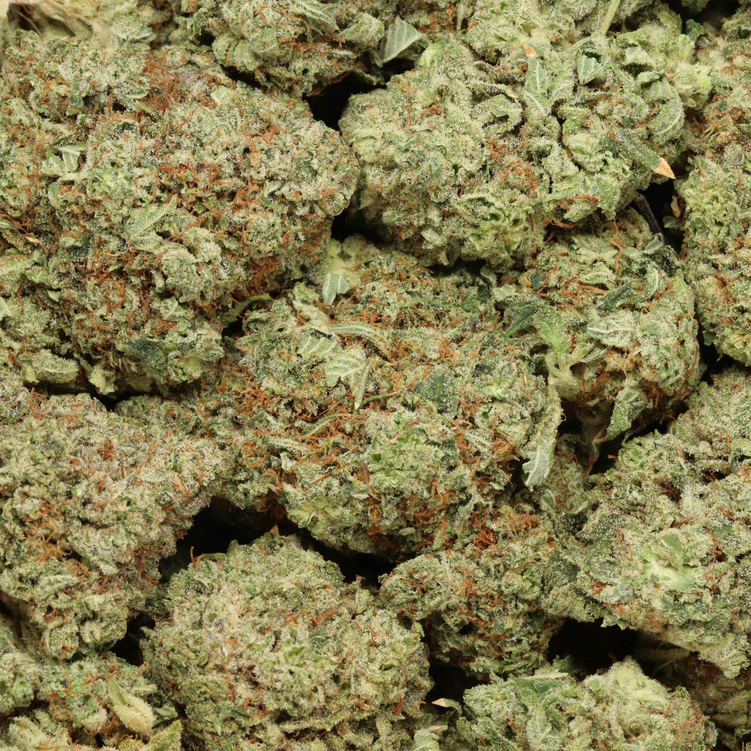 Lindsay OG - Image 3