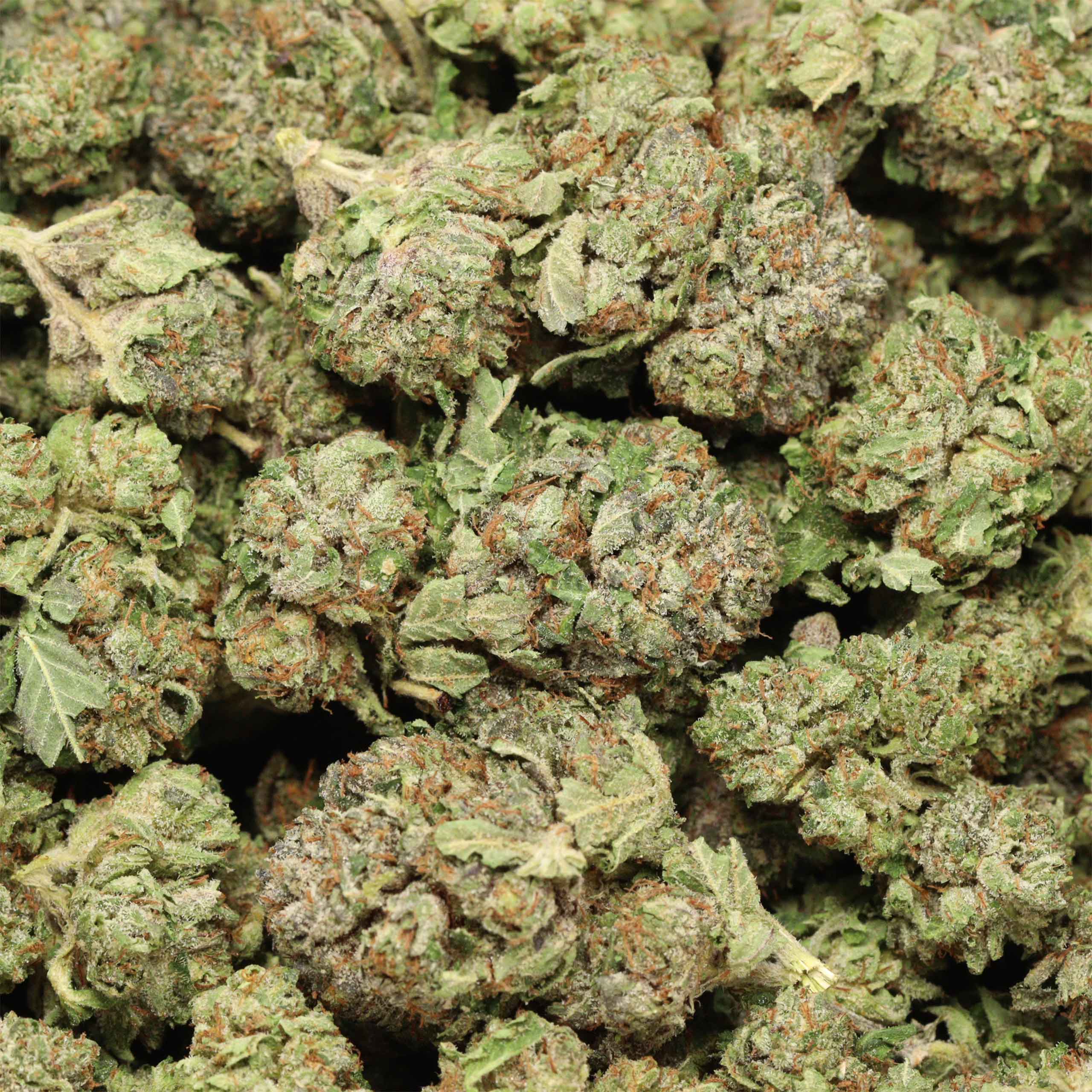 Pink Island Kush - Image 2