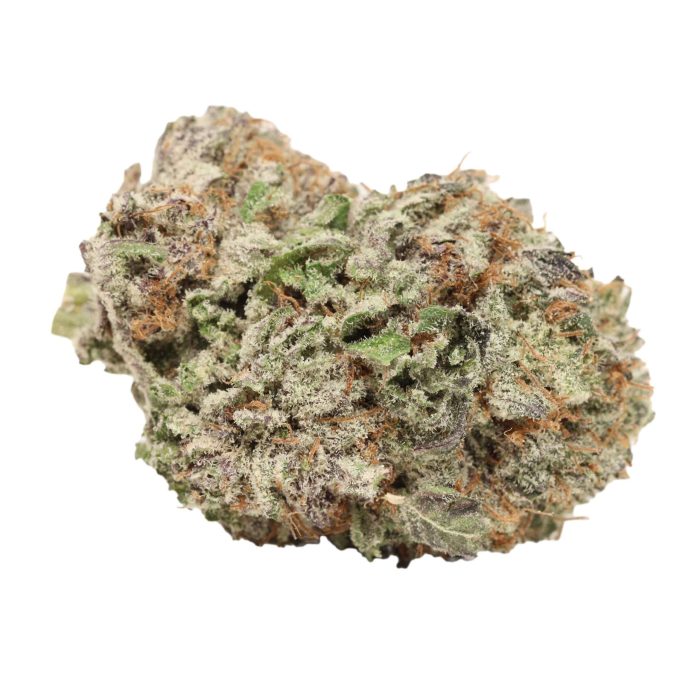 Purple Banner - Image 2