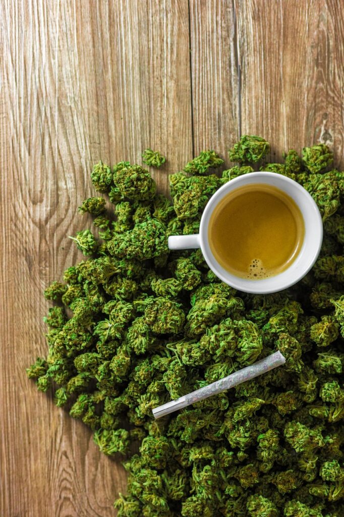 cbd, hemp, flower, field, flower background, cbd switzerland, 420, smoke weed, tincture, ganya, superfood, cannabidiol, flower wallpaper, oil, weed, medicine, thc, herbs, beautiful flowers, green, naturally, medical, medicinal products, nature, smoke